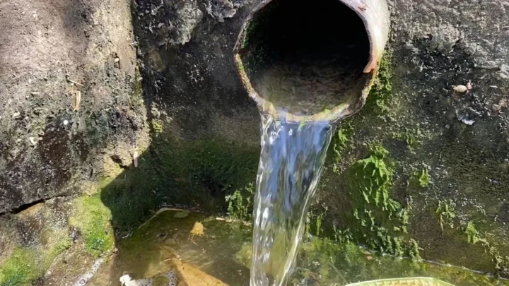 Water pours from a round concrete pipe into a mossy, algae-covered wall with a small pool forming below.