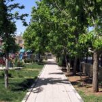 Sunlit pedestrian path through a leafy park, with a playground visible in the distance on the left.