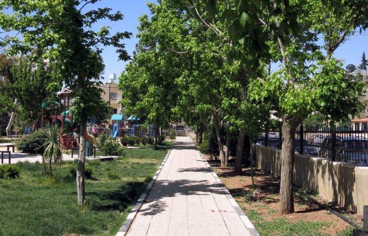 Sunlit pedestrian path through a leafy park, with a playground visible in the distance on the left.