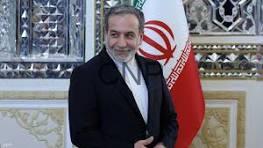 Man in a dark suit standing indoors beside the Iranian flag, smiling, with ornate wall decor in the background.