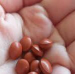 Close-up of small red beans resting on soft white fabric with a CNP watermark.