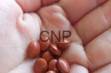 hadeed - Center News Network Close-up of small red beans resting on soft white fabric with a CNP watermark.