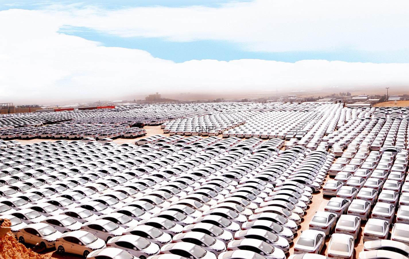 Thousands of white cars lined up in neat rows across a desert parking lot, stretching to the horizon.
