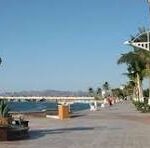 Seafront promenade with statues, palm trees, and people walking along a sunny boardwalk by the ocean; blue sky and water on the left, with a CNP watermark across the center.