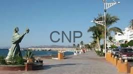 kal - Center News Network Seafront promenade with statues, palm trees, and people walking along a sunny boardwalk by the ocean; blue sky and water on the left, with a CNP watermark across the center.