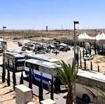 Line of tour buses and vans parked on a sandy desert lot, with a small palm plant in the foreground and tents in the background.