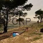 Person resting on a sunlit rocky hillside among trees with a blue water bottle nearby.