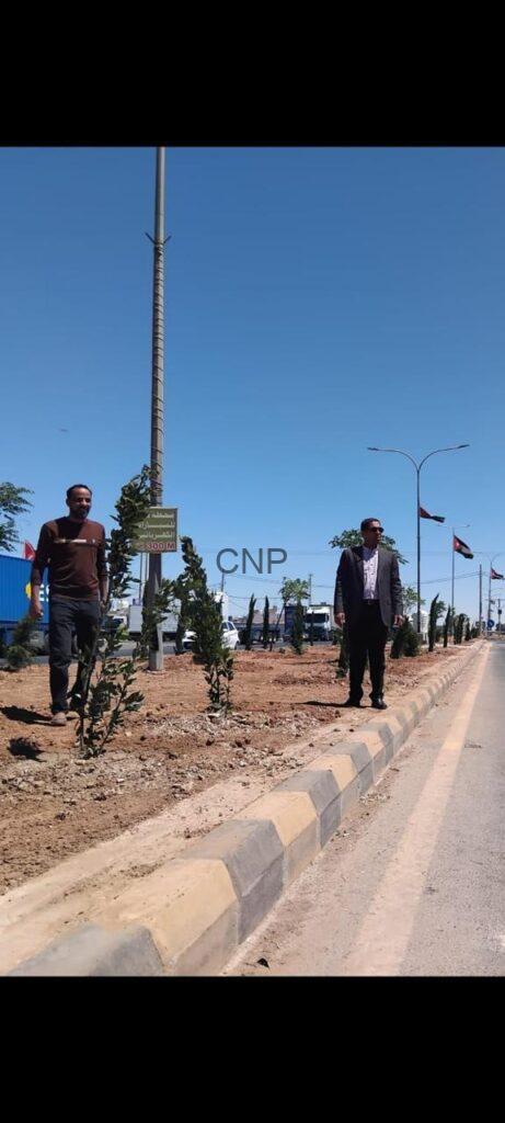 Two men stand on a landscaped median beside a road on a sunny day, with small trees and a street sign nearby.
