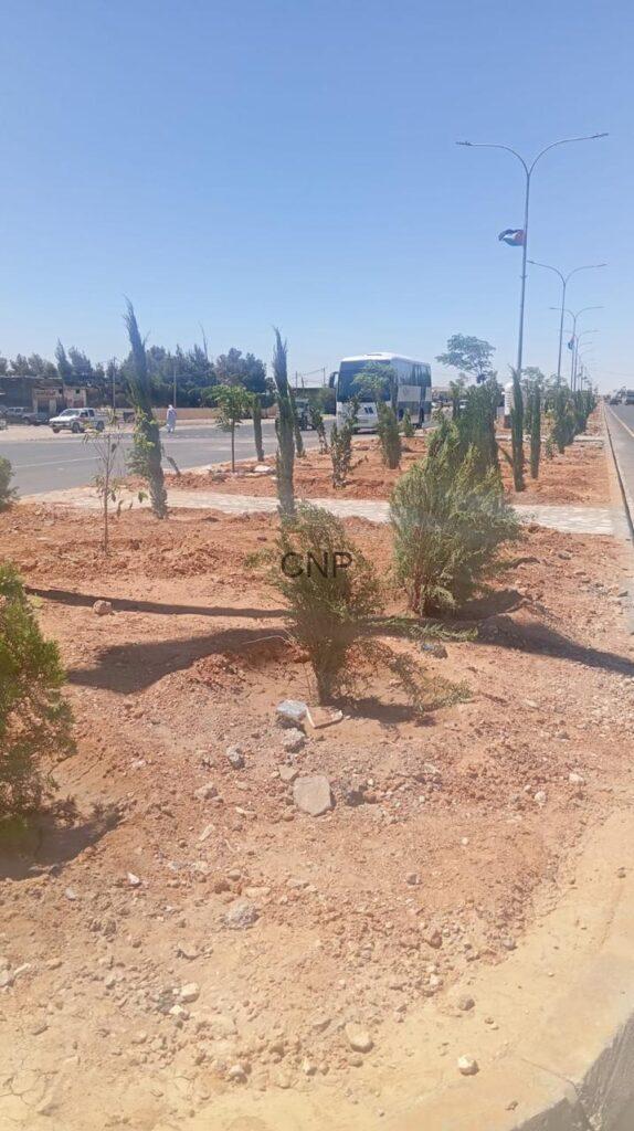 Newly planted shrubs along a roadside median with bare red soil and a blue sky; a bus is visible in the background on the road.