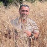Man standing in a tall golden wheat field, wearing a light-colored shirt and looking toward the camera.