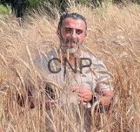 laith - Center News Network Man standing in a tall golden wheat field, wearing a light-colored shirt and looking toward the camera.