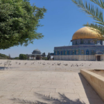 Dome of the Rock with a gold dome and blue tiled walls in a sunny plaza, with a large tree and pigeons nearby.