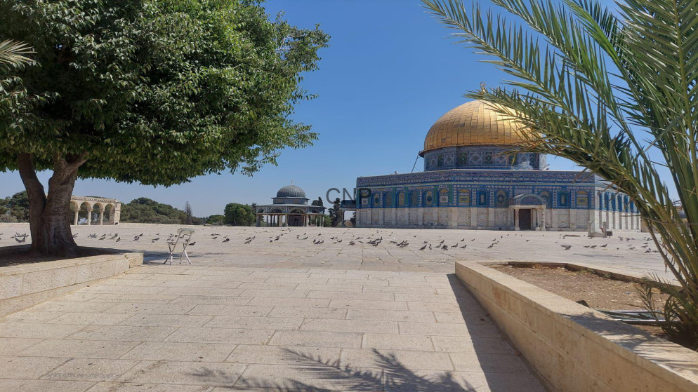 image - Center News Network Dome of the Rock with a gold dome and blue tiled walls in a sunny plaza, with a large tree and pigeons nearby.