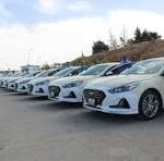 Several white cars are lined up in a row on a dealership lot.