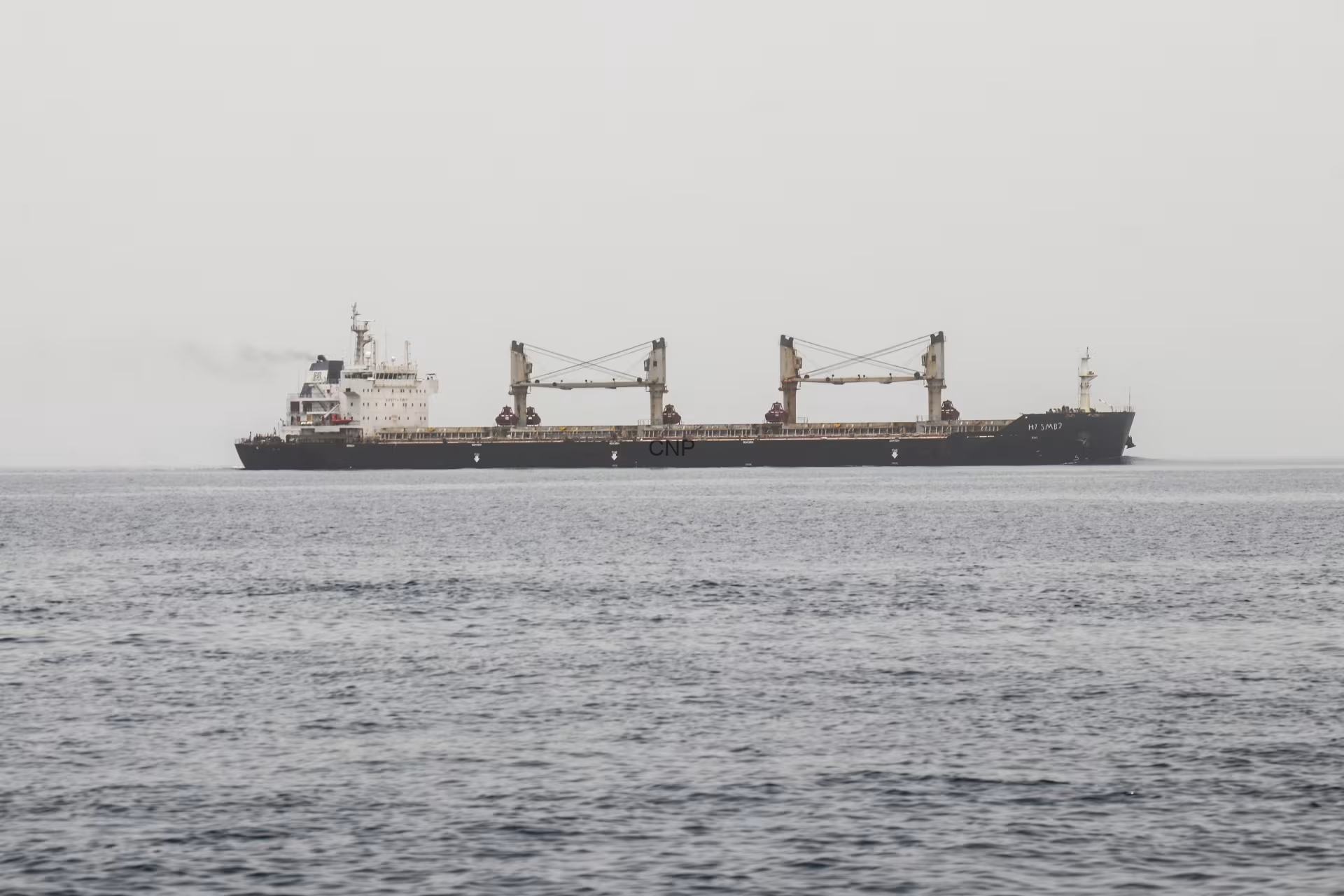 Large cargo ship with two gantry cranes sailing on a calm, gray sea under a pale sky.